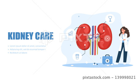 Kidney care concept. Renal health or chronic disease management. Medical vector illustration of internal organ anatomy. Urology and nephrology 139998021