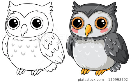 Cute Cartoon Owl Illustration in Color and Line Art Versions Cute Cartoon Owl Illustration in Color and Line Art Versions 139998592