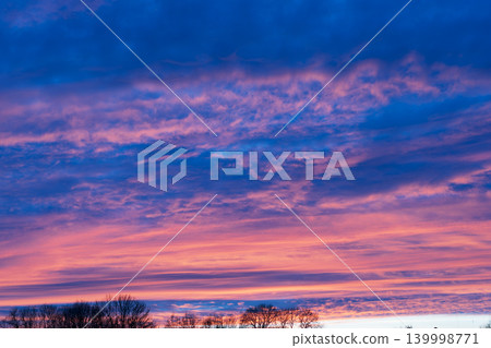 Beautiful blue hour sky with pink and purple sunset clouds over trees Beautiful blue hour sky with pink and purple sunset clouds over trees 139998771