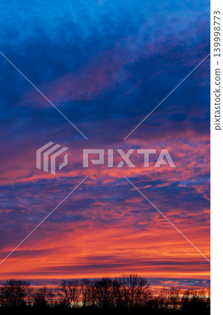 Vibrant dramatic sunset sky with colorful clouds above dark forest Vibrant dramatic sunset sky with colorful clouds above dark forest 139998773