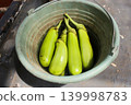 resh Green Eggplants Soaking in Water Inside Plastic Bucket Harvested Organic Vegetables Close Up 139998783