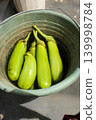 fresh green papaya in a bucket,vertical potrait 139998784