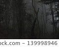 森林籠罩在薄霧之中，介於黑暗與黎明之間 139998946