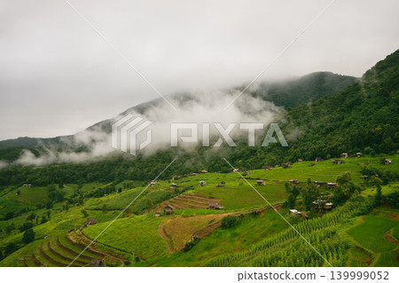 ecology travel with camping outdoor relax in rice field at chiangmai thailand in raining season ecology travel with camping outdoor relax in rice field at chiangmai thailand in raining season 139999052