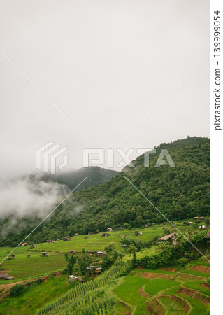 ecology travel with camping outdoor relax in rice field at chiangmai thailand in raining season ecology travel with camping outdoor relax in rice field at chiangmai thailand in raining season 139999054