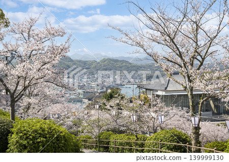 The spring scenery of Onomichi unfolds in Senkoji Park, where cherry blossoms are in bloom. 139999130