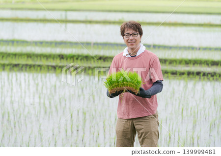 A farmer holding rice seedlings 139999481