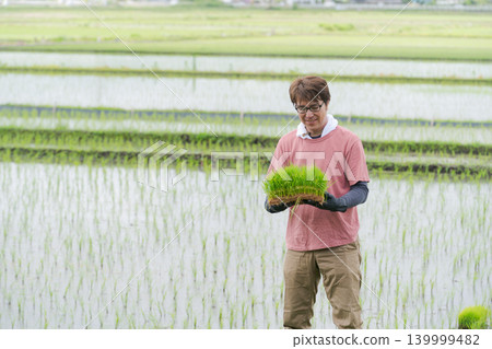 一位農夫手持水稻秧苗 139999482