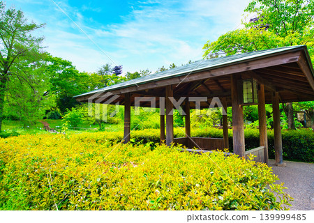 東京佐江恩子公園日式庭園中的涼亭 東京佐江恩子公園日式庭園中的涼亭 139999485