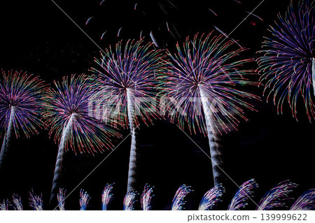 開花在夏夜天空的花 139999622