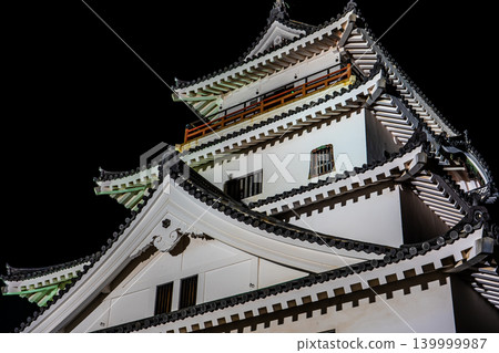 Karatsu Castle Light-up [Karatsu City, Saga Prefecture] 139999987
