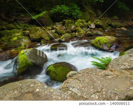 A stream flowing through moss-covered rocks at Kawazu Nanataki (Kawazu Town, Shizuoka Prefecture) 140000011