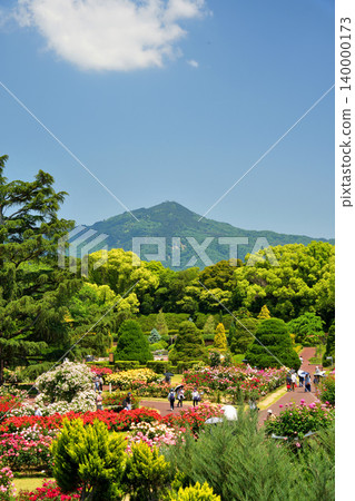 Colorful rose garden at Kyoto Prefectural Botanical Garden Colorful rose garden at Kyoto Prefectural Botanical Garden 140000173