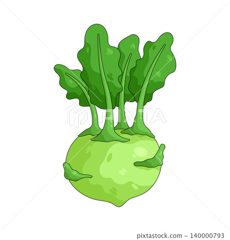 Illustration of Kohlrabi  140000793