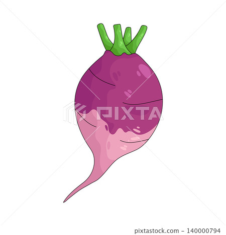 Illustration of turnip  140000794