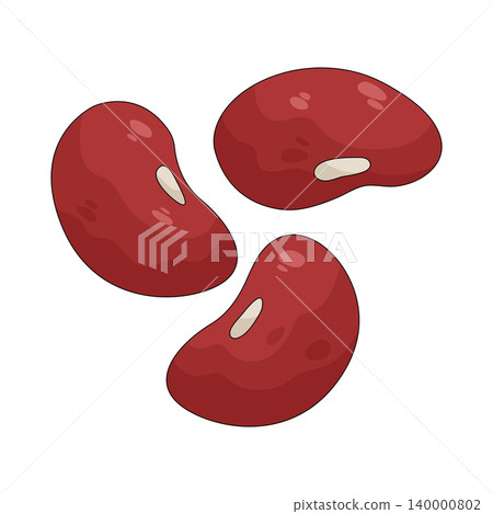 Illustration of Kidney bean Illustration of Kidney bean 140000802