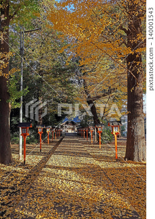 Musashino Shrine (Kodaira) Musashino Shrine (Kodaira) 140001543