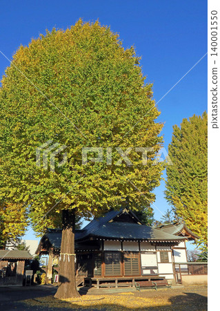 Musashino Shrine (Kodaira) Musashino Shrine (Kodaira) 140001550