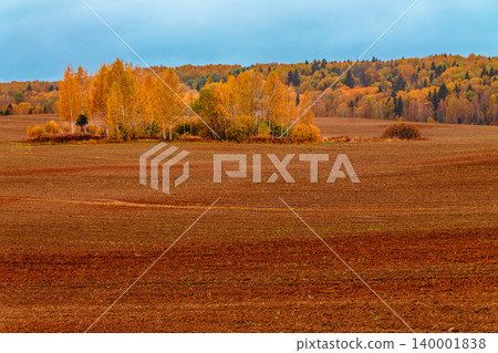 Autumn landscape with golden trees and brown fields in a rural area 140001838