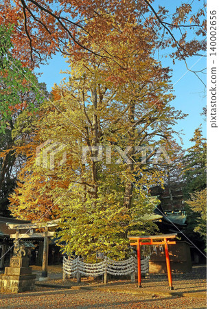 木月神社(武藏野) 木月神社(武藏野) 140002656
