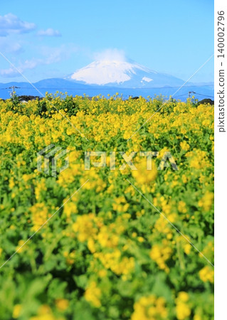 Soleil Hill強姦場和富士山 140002796
