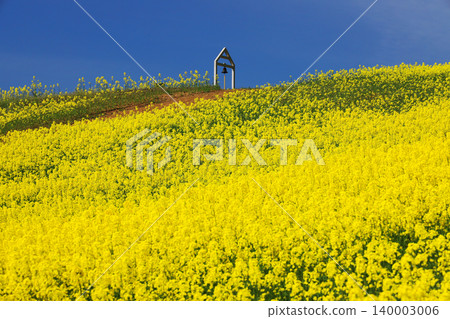 A bell of happiness stands amidst a blue sky and a field of rapeseed flowers: A spring scene at the San-no-Kura Plateau flower fields. A bell of happiness stands amidst a blue sky and a field of rapeseed flowers: A spring scene at the San-no-Kura Plateau flower fields. 140003006
