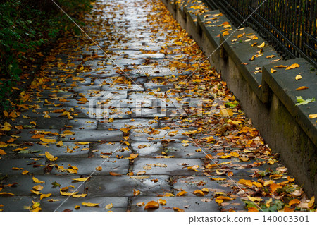 Wet paved walkway covered in fallen autumn leaves after a rain shower Wet paved walkway covered in fallen autumn leaves after a rain shower 140003301
