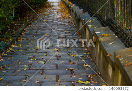 Wet cobblestone path after rain with fallen autumn leaves and a metal fence 140003372