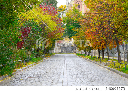 cobble stone aged road in old city street trees tunnel October colorful leaves cobble stone aged road in old city street trees tunnel October colorful leaves 140003373
