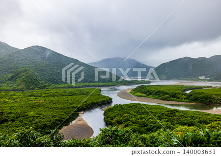 Amami Oshima Island: Mangrove Forest Landscape 140003631