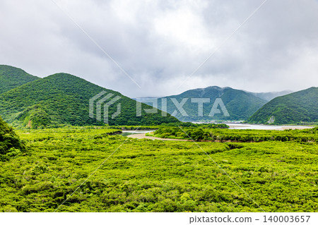 奄美大島:紅樹林景觀 奄美大島:紅樹林景觀 140003657