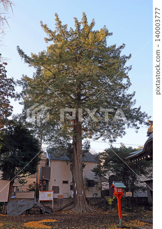 Suzuki Inari Shrine (Kodaira) 140003777