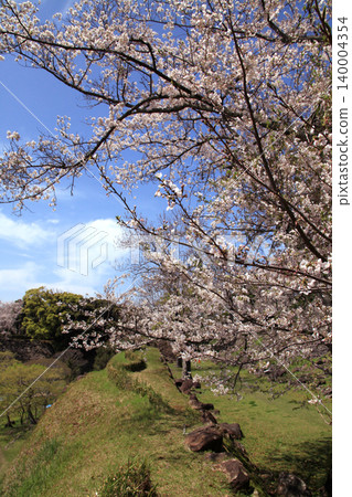 名古屋城遺址是佐賀縣的歷史旅遊景點，如今櫻花盛開，春意盎然，遊客絡繹不絕。 140004354