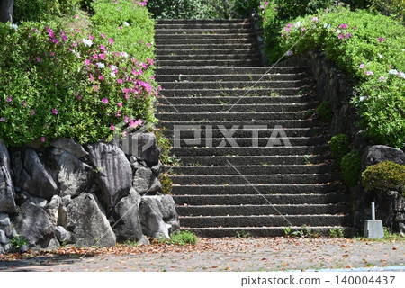 The stone steps of the park, surrounded by vibrant azaleas and dazzling new greenery. 140004437