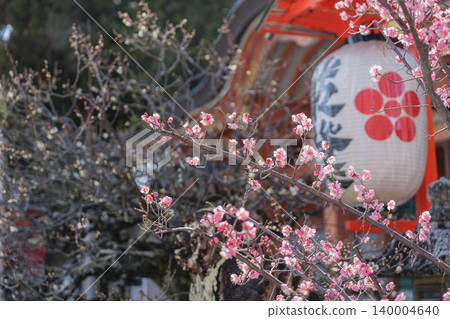 長岡天滿的梅花 長岡天滿的梅花 140004640