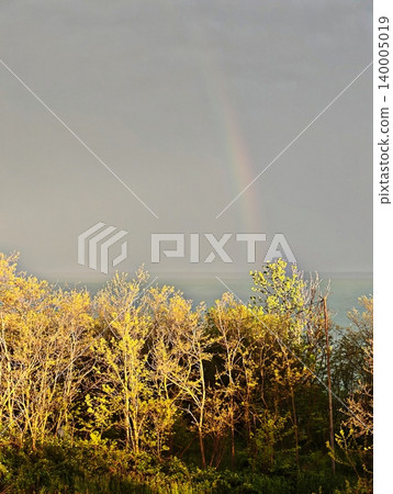 A faint rainbow appearing in the moody sky over sunlit autumn trees near the sea after a storm. A faint rainbow appearing in the moody sky over sunlit autumn trees near the sea after a storm. 140005019