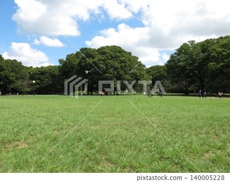 Yoyogi Park (Central Plaza) in summer Yoyogi Park (Central Plaza) in summer 140005228