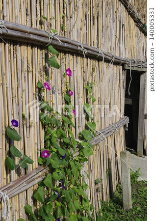 夏季,石川縣輪島市的馬加基村用大約三公尺高的竹子圍成的柵欄抵禦來自大海的強風。 夏季,石川縣輪島市的馬加基村用大約三公尺高的竹子圍成的柵欄抵禦來自大海的強風。 140005331