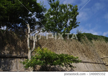 In the summer, the village of Magaki in Wajima City, Ishikawa Prefecture, is protected from strong winds from the sea by a fence made of bamboo, approximately three meters high. In the summer, the village of Magaki in Wajima City, Ishikawa Prefecture, is protected from strong winds from the sea by a fence made of bamboo, approximately three meters high. 140005332