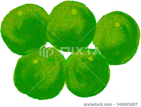 Sudachi illustration Sudachi illustration 140005887