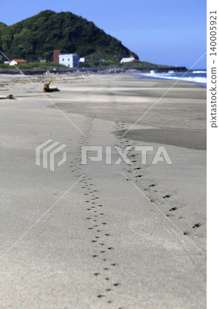 通往海灘的路上留有人和狗的腳印。 140005921