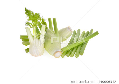 Fresh, organic fennel on a white background. Fresh, organic fennel on a white background. 140006312