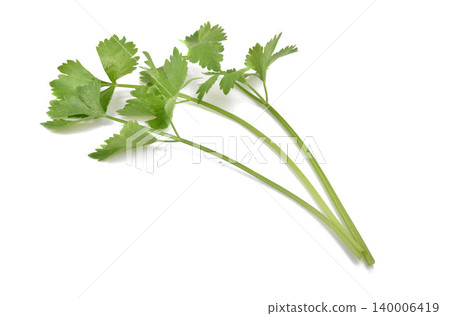 Celery isolated on white background Celery isolated on white background 140006419