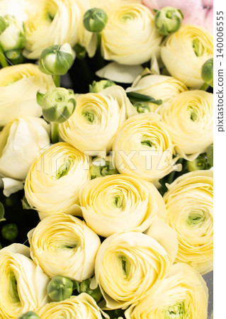 Soft yellow ranunculus flowers in a delicate macro close-up Soft yellow ranunculus flowers in a delicate macro close-up 140006555