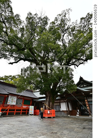美國神社的風景 美國神社的風景 140006619