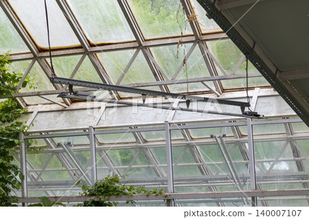 An indoor tropical garden or greenhouse atrium setting illuminated by artificial overhead lighting An indoor tropical garden or greenhouse atrium setting illuminated by artificial overhead lighting 140007107