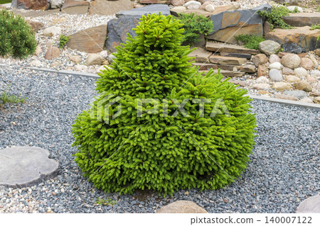 Public Park Stone Plaza Landscape with Terraced Rock Garden and Conifers Public Park Stone Plaza Landscape with Terraced Rock Garden and Conifers 140007122