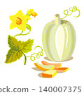 A colour vector set featuring a pumpkin, its flowers and leaves on a white background 140007375