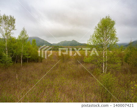 迷霧繚繞的山巒和戰場原的濕地 迷霧繚繞的山巒和戰場原的濕地 140007421