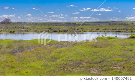 Lagunas de Villafafila Natural Reserve, Spain Lagunas de Villafafila Natural Reserve, Spain 140007491